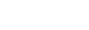dvs logo 02 w