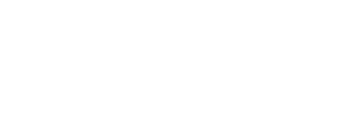 dvs logo 02 w